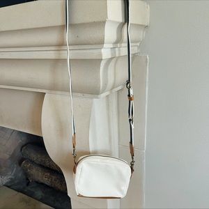 Target Canvas Purse with Interchangeable Straps